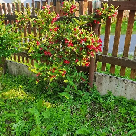 Villaronda Numai In Intregime, Max 5 Persoane, Min 4 Zile, 130 Mp Bine Incalziti, 3 Dormitoare, Sufragerie, Bucatarie, Veranda, Terasa, Curte Cu Parcare Si Gratar, Ideala Pentru Lucru La Distanta, Insorita, Discreta, Zona Linistita, Usor Accesibila Predeal Exterior photo